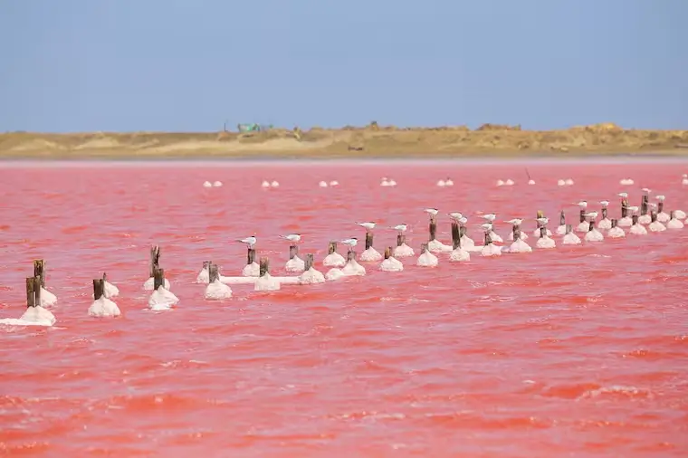 Galerazamba Bolívar