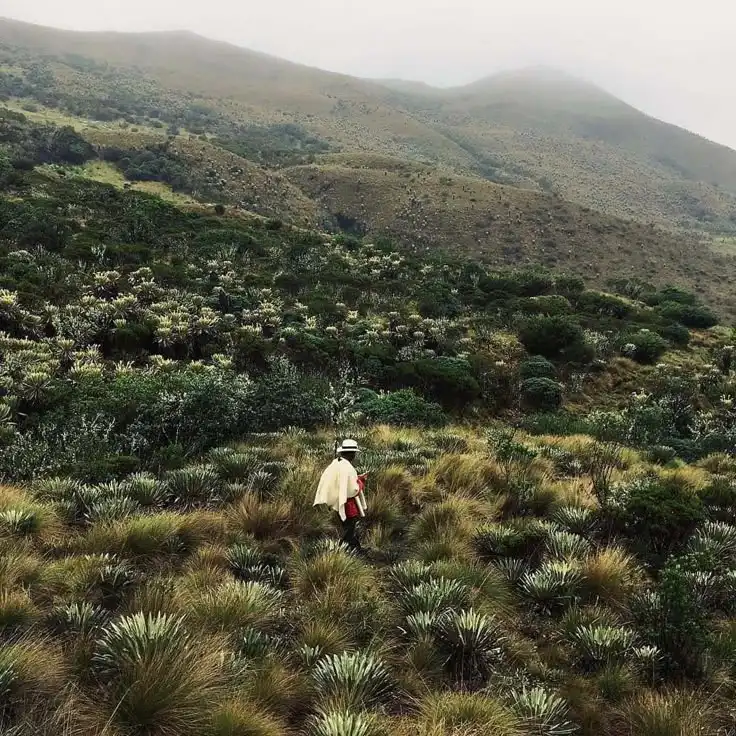 Páramo de Ocetá en Boyacá