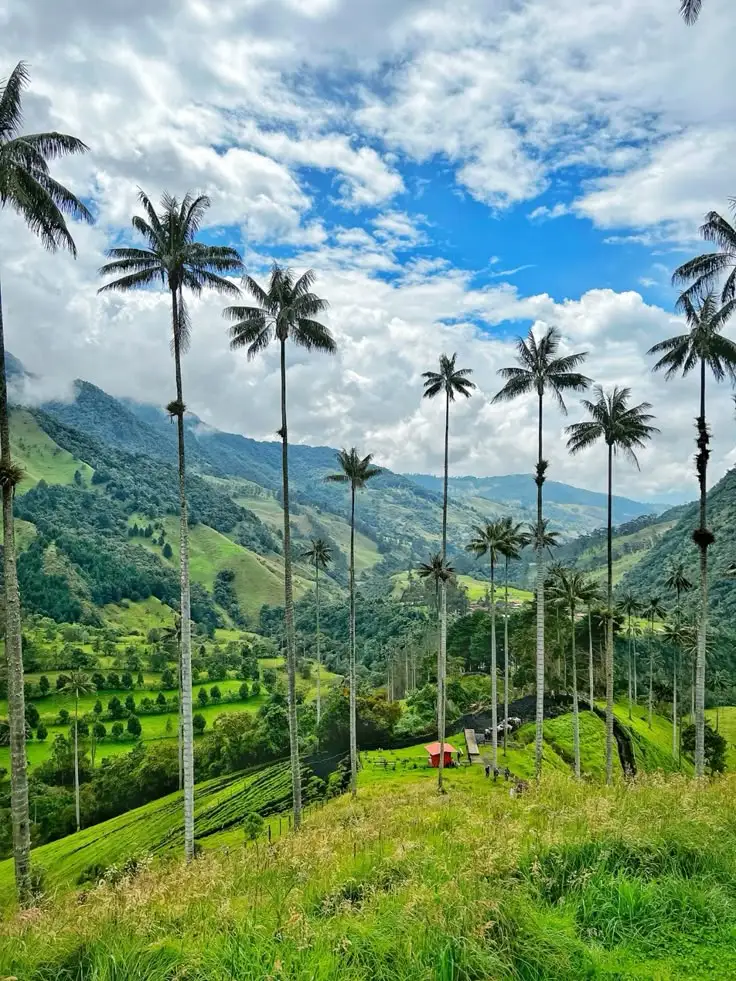 Paisajes del Valle de Cocora en Salento, Quindío